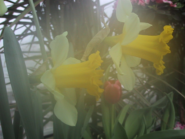 IMG_2061.JPG