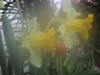 IMG_2061.JPG
