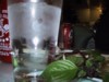 IMG_1687.JPG