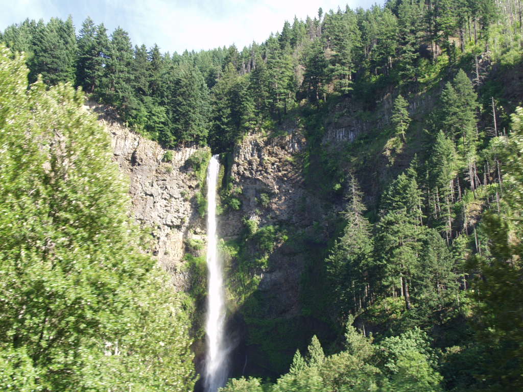 P6161536.JPG