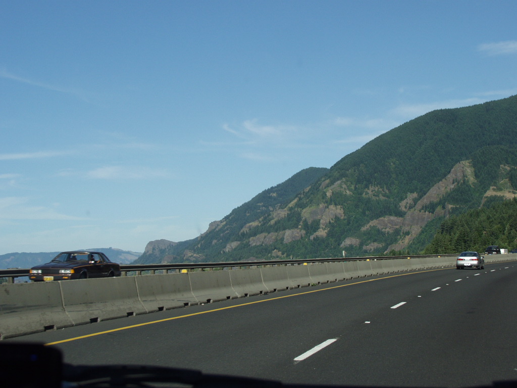 P6161539.JPG