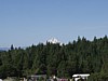 P6171609.JPG